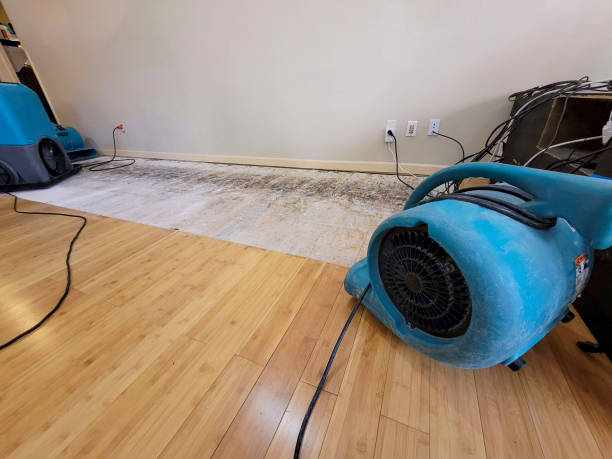 Professional Water Damage Repair technician working in Porter Ranch, CA